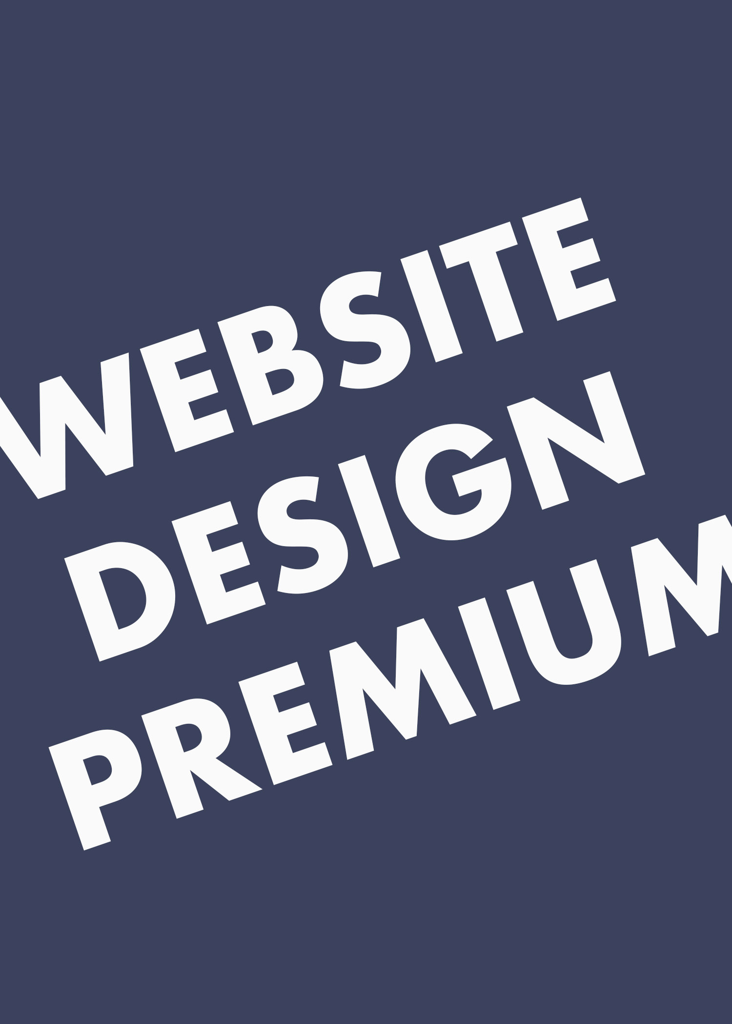 website-design-premium-package-denver-co-01
